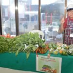 Horti Frutti & Garden (20)